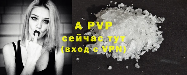 сатива Арсеньев