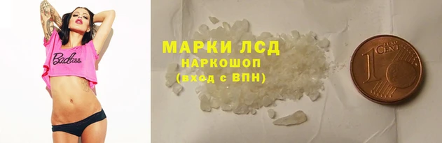 гидропоника Аркадак
