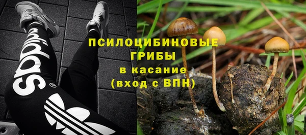 сатива Арсеньев