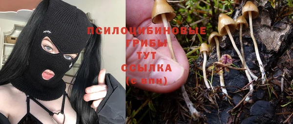 гидропоника Аркадак