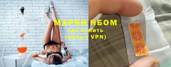 сатива Арсеньев