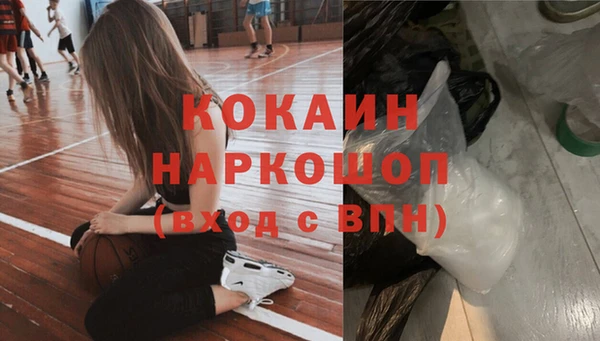 сатива Арсеньев