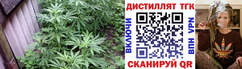 ТГК Wax hydra ONION Ростов